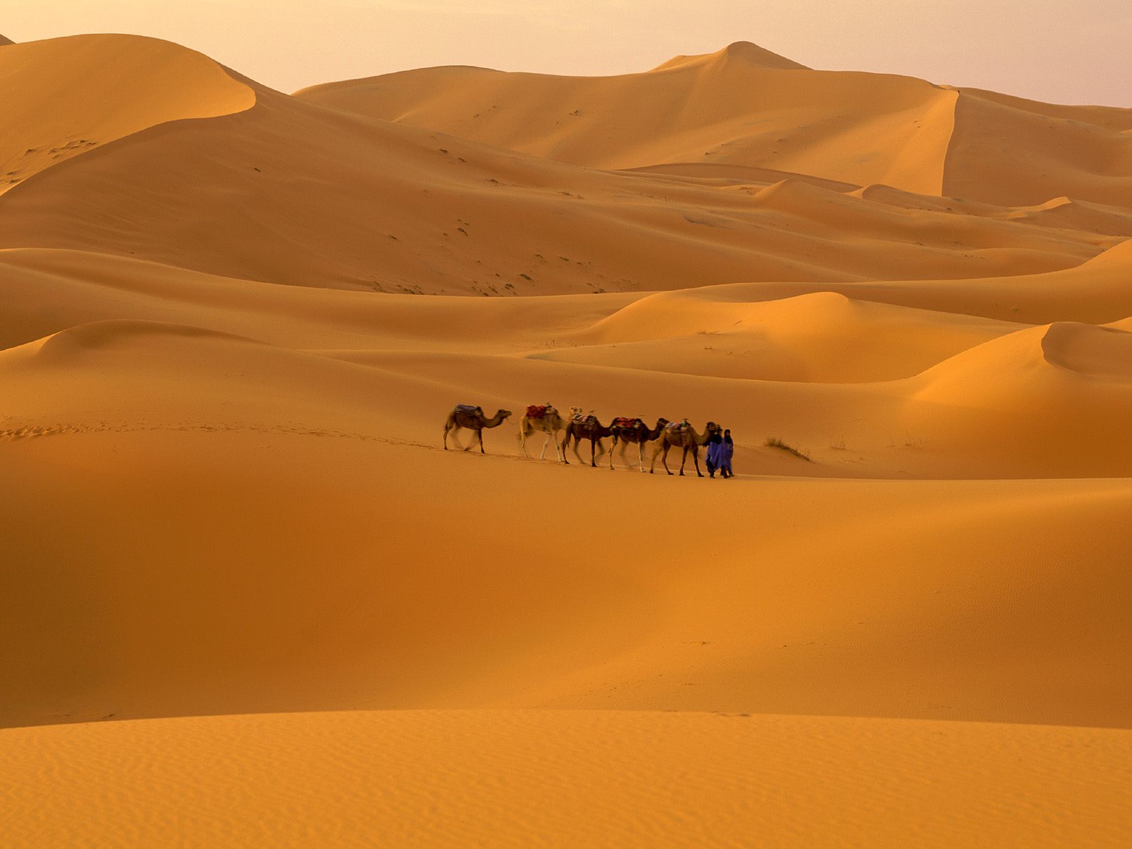 Sahara_Desert_Morocco
